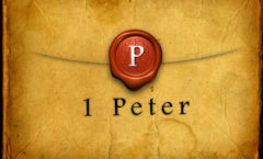 Next Steps - The Book of I Peter