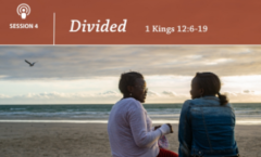 Divided - 1 Kings 12:6-19