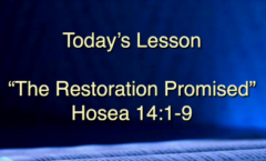 The Restoration Promised - Hosea 14:1-9