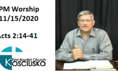 PM Worship - Acts 2:14-41 - Mark Parnell  11/15/2020