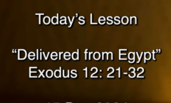 Delivered from Egypt - Exodus 12:25-31