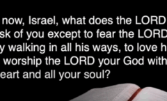 Divine Expectations - Deuteronomy 10:1-2