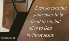 Freedom - Romans 6:1-14 - 10/4/2026